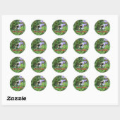F2 Bij op paarse wilde bloem Ronde Sticker (Vel)