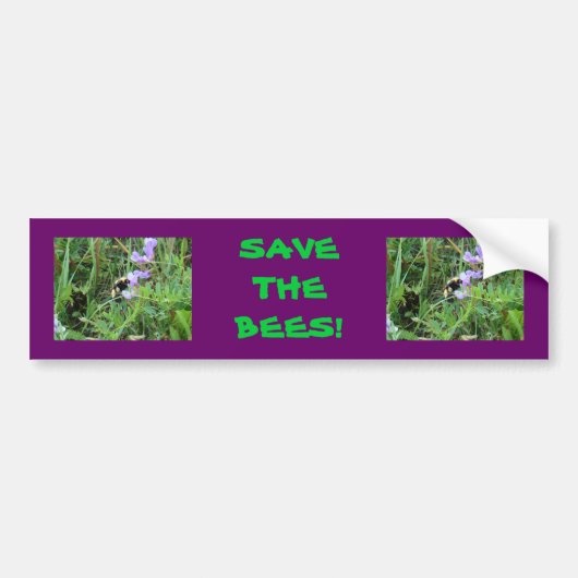 F2 Bij op paarse wilde bloemen Bumpersticker (Voorkant)