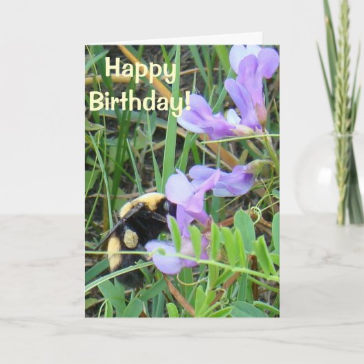 F2 Bij op paarse wilde bloemen Kaart (Voorkant)