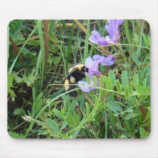 F2 Bij op paarse wilde bloemen Muismat (Voorkant)