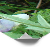 F2 Bij op paarse wilde bloemen Poster (Hoek)