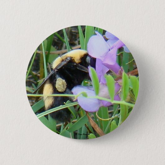 F2 Bij op paarse wilde bloemen Ronde Button 5,7 Cm (Voorkant)