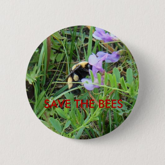 F2 Bij op paarse wilde bloemen Ronde Button 5,7 Cm (Voorkant)