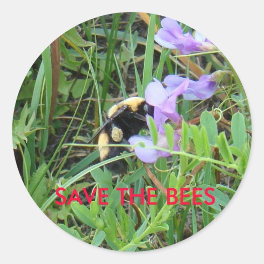 F2 Bijen op paarse wilde bloem Ronde Sticker (Voorkant)