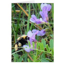 F2 Bijen op Paarse wilde bloemen