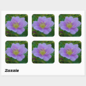 F37 Wilde Roos Vierkante Sticker (Vel)