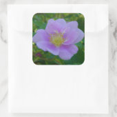 F37 Wilde Roos Vierkante Sticker (Tas)