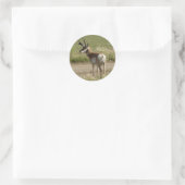 F39 Gaffelbok-antilope mannetje Ronde Sticker (Tas)