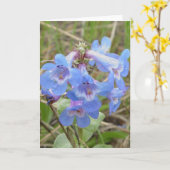 F3 Blauw Wildflowers Slender Blauw Baard-tong Kaart (Gele Bloem)