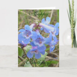 F3 Blauwe Wilde Bloemen Slanke Blauwe Baard Tongue Kaart
