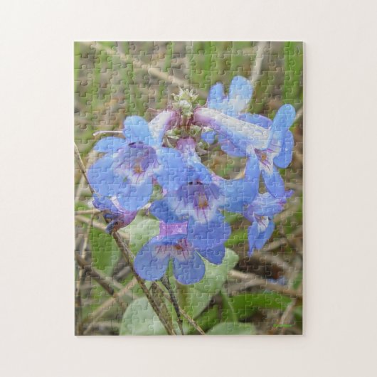 F3 Blauwe Wilde Bloemen Slanke Blauwe Baardlip Legpuzzel (Verticaal)