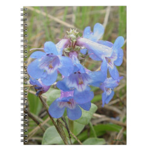 F3 Blauwe Wilde Bloemen Slanke Blauwe Baardtong Notitieboek