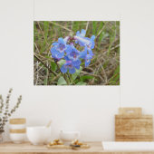 F3 Blauwe Wilde Bloemen Slanke Blauwe Baardtong Poster (Keuken)