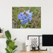 F3 Blauwe Wilde Bloemen Slanke Blauwe Baardtong Poster (Thuiskantoor)