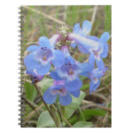 F3 Blauwe wilde bloemen Slender Blue Beardtongue Notitieboek