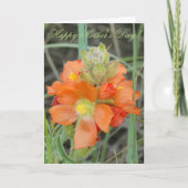 F40 Oranje wilde bloemen Scarlet Mallow Kaart (Voorkant)