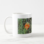 F40 Oranje wilde bloemen Scarlet Mallow Koffiemok (Links)