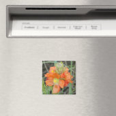 F40 Oranje wilde bloemen Scarlet Mallow Magneet (Insitu (Vaatwasser))