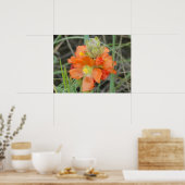 F40 Oranje wilde bloemen Scarlet Mallow Poster (Keuken)