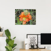 F40 Oranje wilde bloemen Scarlet Mallow Poster (Thuiskantoor)