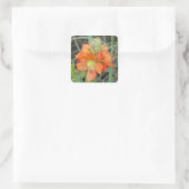 F40 Oranje wilde bloemen Scarlet Mallow Vierkante Sticker (Tas)