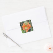 F40 Oranje wilde bloemen Scarlet Mallow Vierkante Sticker (Envelop)