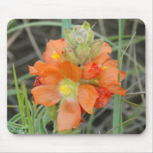 F40 Oranje Wilde Bloemen Scarlettemantel Muismat