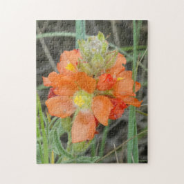 F40 Oranje Wilde Bloemen Scharlaken Mallow Legpuzzel