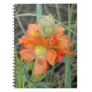 F40 Oranje Wilde Bloemen scharlaken mallow Notitieboek