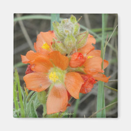 F40 Oranje Wilde Bloemen scharlakenmalve Magneet