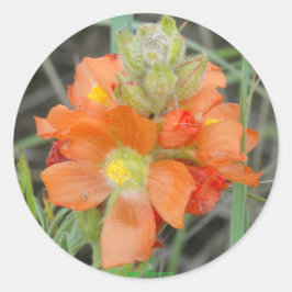 F40 Oranje Wilde Bloemen scharlakenmalve Ronde Sticker
