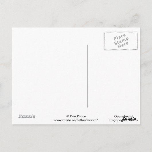 F41 Gele reuzenbaard Briefkaart (Achterkant)