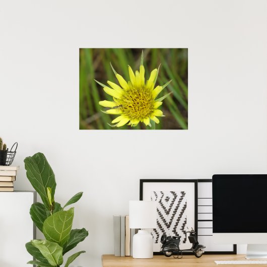 F41 Gele reuzenbaard Poster (Thuiskantoor)