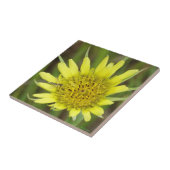 F41 Gele reuzenbaard Tegeltje (Zijkant)