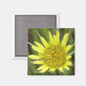 F41 Gele Wilde Bloem Geitebaard Magneet (Voorkant / Achterkant)