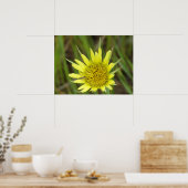 F41 Gele Wilde Bloem Geitebaard Poster (Keuken)