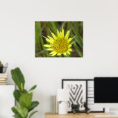 F41 Gele Wilde Bloem Geitebaard Poster (Thuiskantoor)