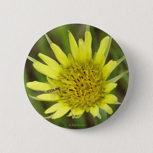 F41 Gele Wilde Bloem Geitebaard Ronde Button 5,7 Cm (Voorkant)