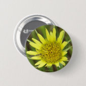 F41 Gele Wilde Bloem Geitebaard Ronde Button 5,7 Cm (Voorkant /achterkant)