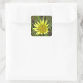 F41 Gele Wilde Bloem Geitebaard Vierkante Sticker (Tas)