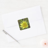 F41 Gele Wilde Bloem Geitebaard Vierkante Sticker (Envelop)