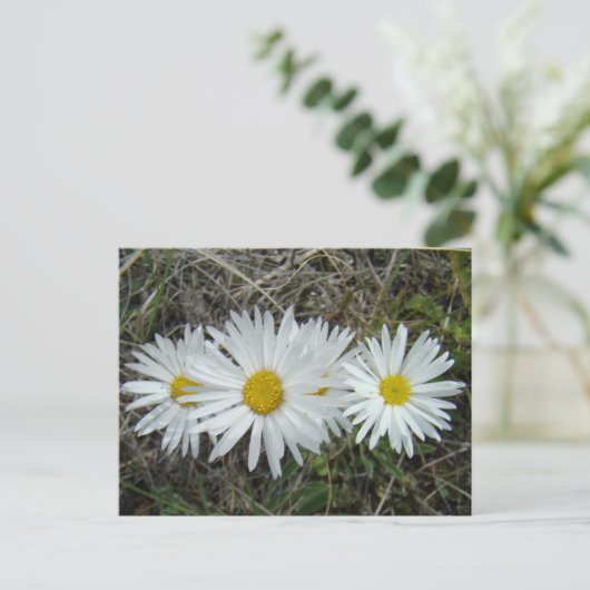 F42 Witte Wildbloemen Vloeiende ester Briefkaart (Staand voorkant)