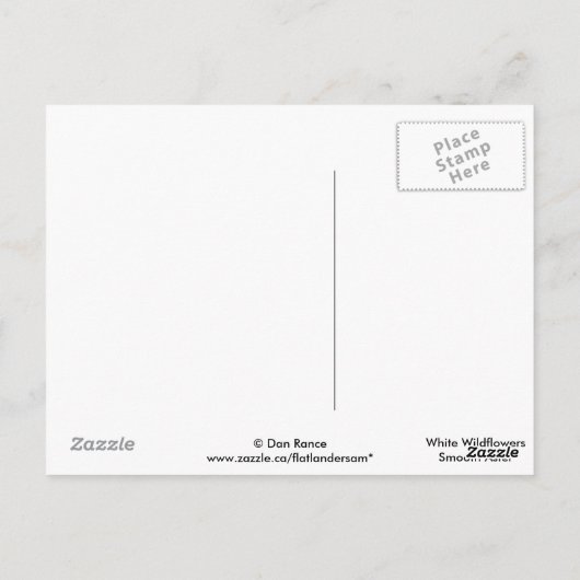 F42 Witte Wildbloemen Vloeiende ester Briefkaart (Achterkant)