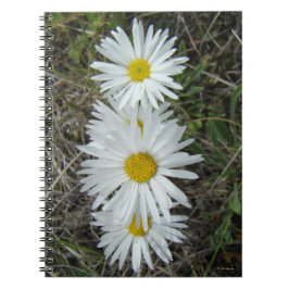 F42 Witte Wildbloemen Vloeiende ester Notitieboek