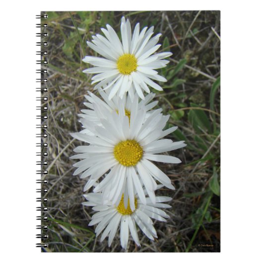 F42 Witte Wildbloemen Vloeiende ester Notitieboek (Voorkant)