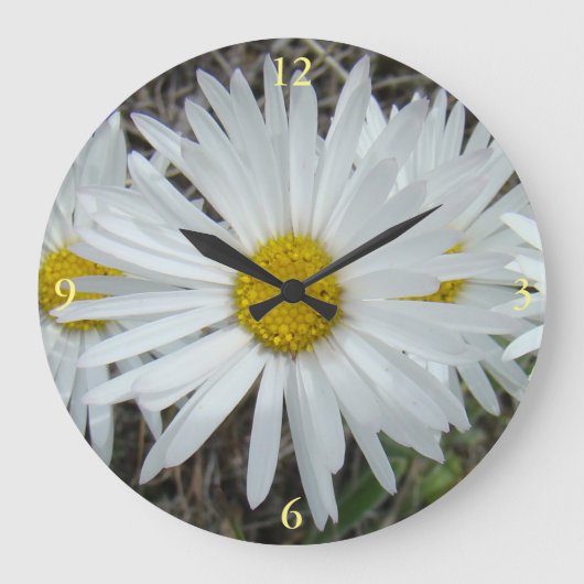 F42 Witte Wilde Bloemen Gladde Aster Grote Klok (Voorkant)