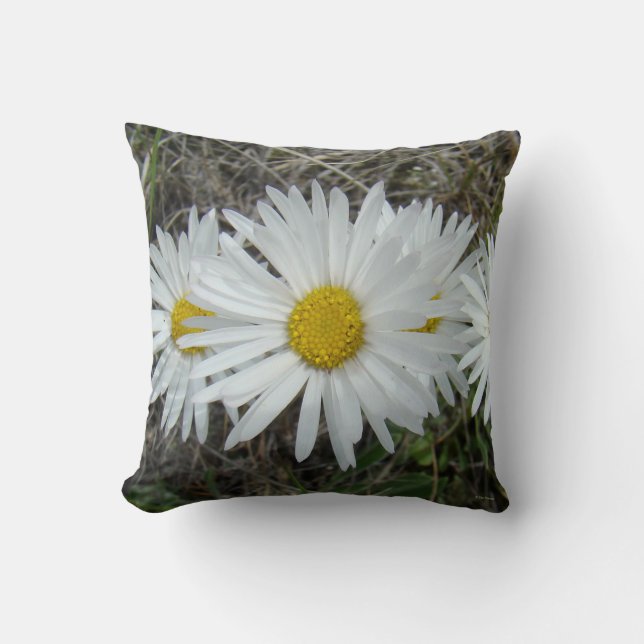 F42 Witte Wilde Bloemen Gladde Aster Kussen (Voorkant)