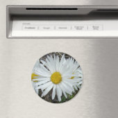 F42 Witte Wilde Bloemen Gladde Aster Magneet (Insitu (Vaatwasser))