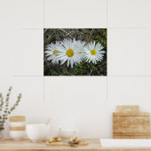 F42 Witte Wilde Bloemen Gladde Aster Poster (Keuken)