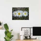 F42 Witte Wilde Bloemen Gladde Aster Poster (Thuiskantoor)